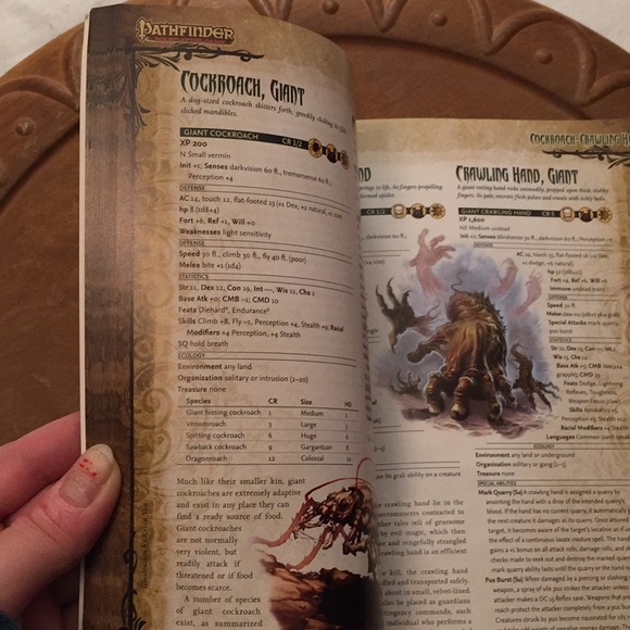 Pathfinder roleplaying game book #1 - Picture 13 of 17